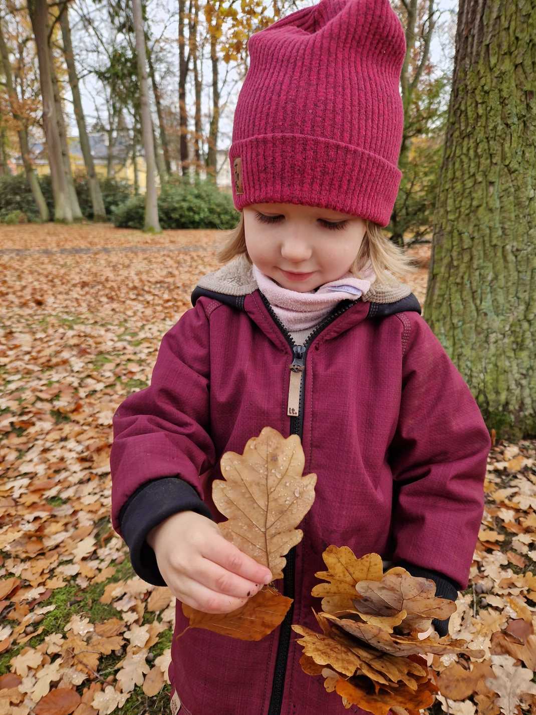 9d9cec7a 693f 493d 8715 850e0c877b42   kopie