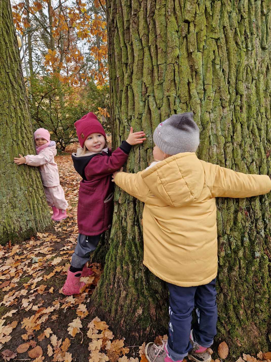 7dd5965b e257 484d b3ae 8e53ecfbb513